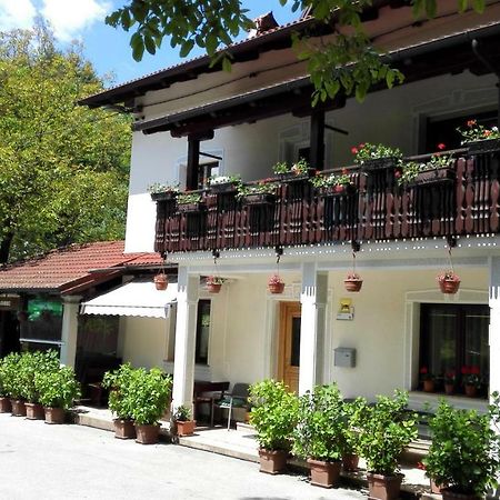 Domacija Bubec Villa Ilirska Bistrica Exterior foto