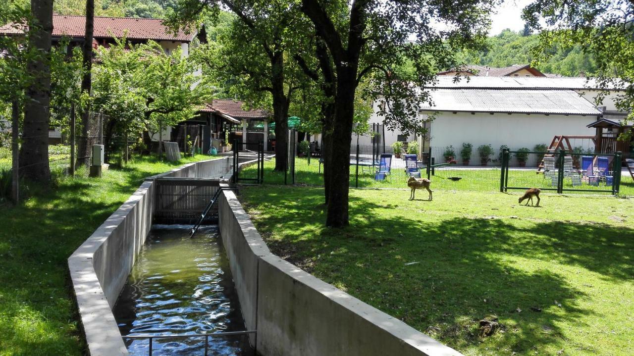 Domacija Bubec Villa Ilirska Bistrica Exterior foto